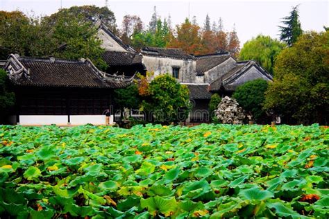 南潯菱湖鎮怎麼樣，它的歷史與現代交織出怎樣的風景？