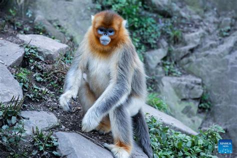 玉合公園怎麼樣與園林設計有著不解之緣